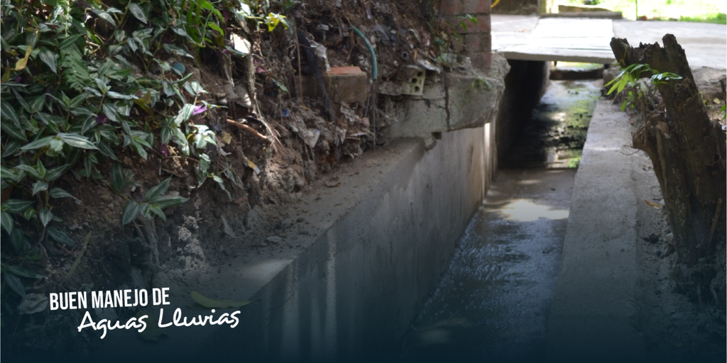 Buen manejo de aguas lluvias