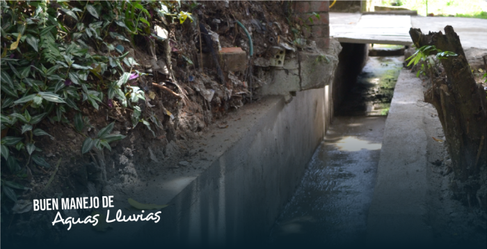 Buen manejo de aguas lluvias