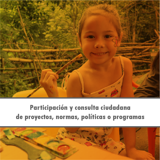 Participación y consulta ciudadana de proyectos, normas, políticas o programas